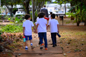 Projeto de voluntariado